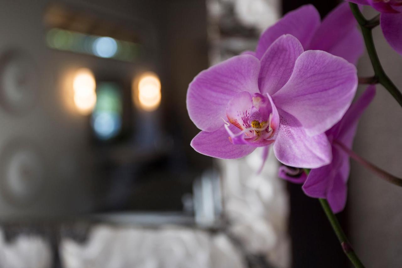 Moya Safari Villa Hoedspruit Exteriér fotografie